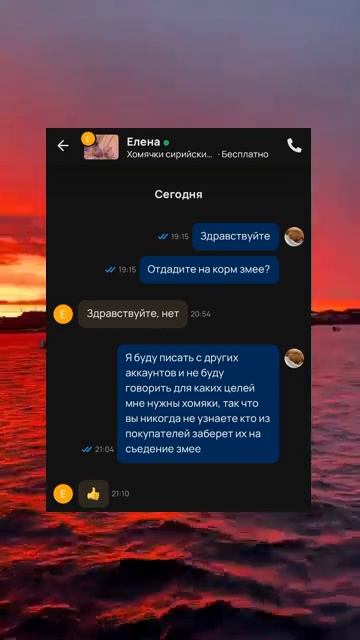 Дичь в чате