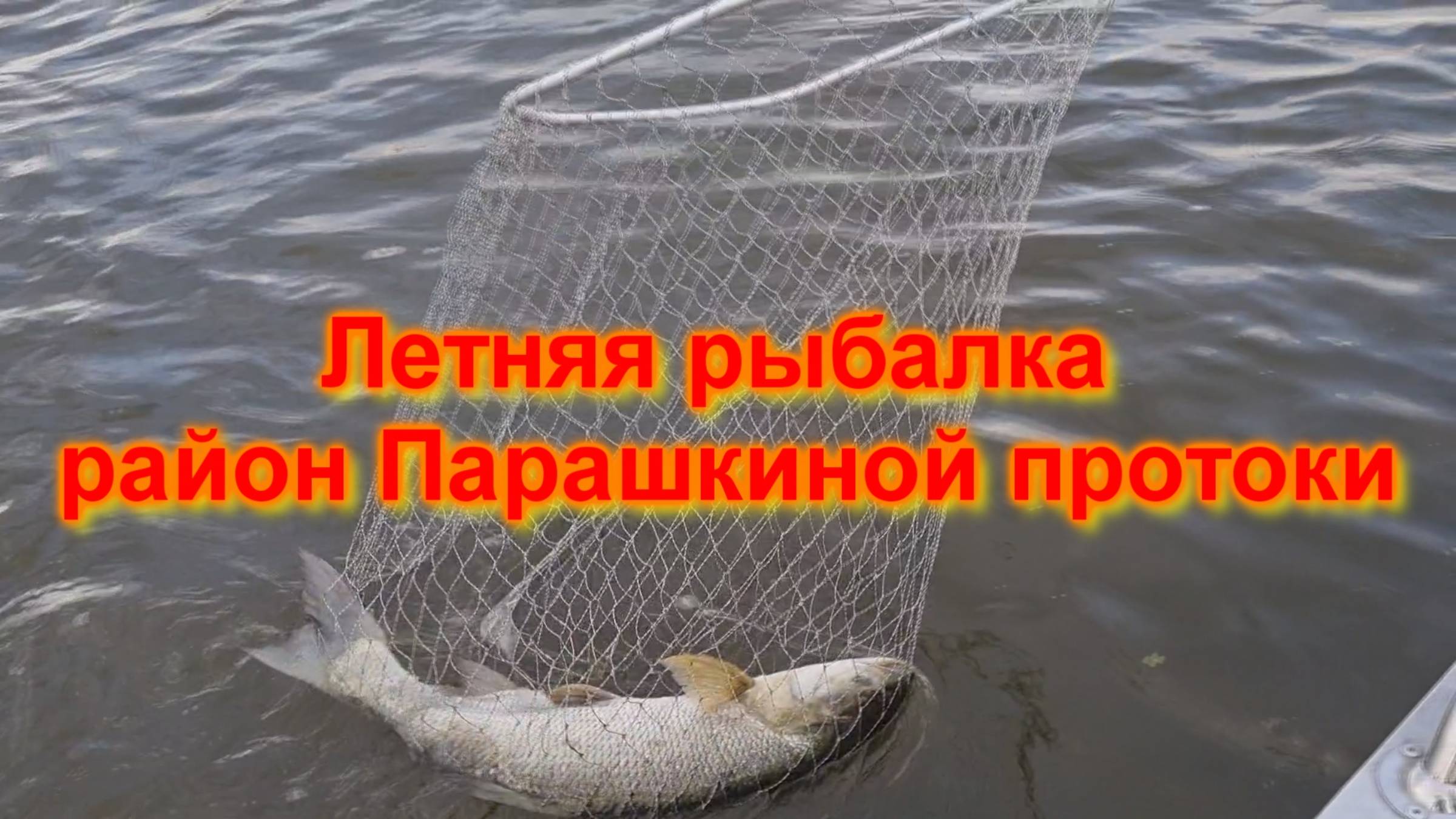 Летняя рыбалка, район Парашкиной протоки смотреть онлайн