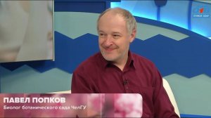 Как и когда собирать березовый сок?