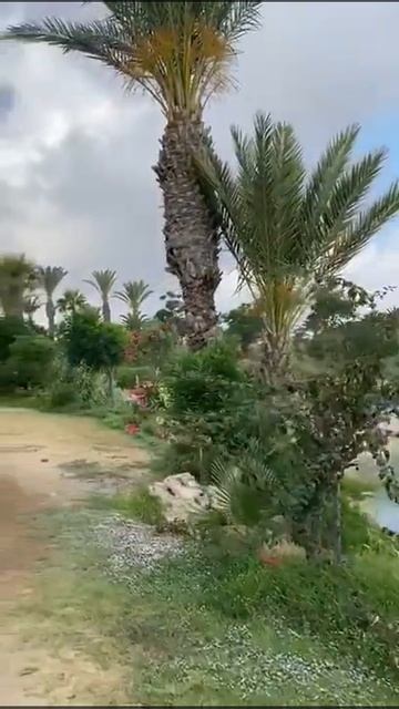 Cyprus Time смотреть онлайн