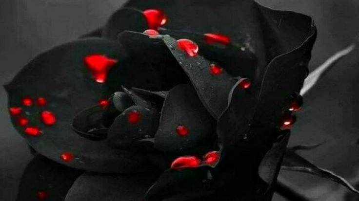 КАК ТЕБЕ ЖИВЕТСЯ смотреть онлайн