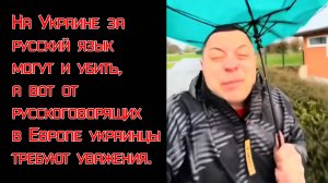 Украинцы в Европе требуют к себе уважения