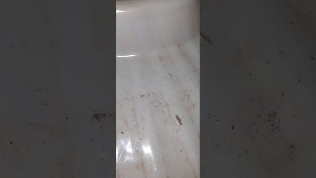 Red shale bar broken super hard crunch 😋😋😋 смотреть онлайн