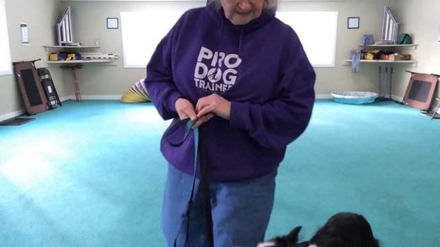 115 Call Front Forward Left Torrent 22 01 28 смотреть онлайн