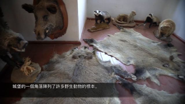 Zamek Grodno - Grodno Castle Poland смотреть онлайн