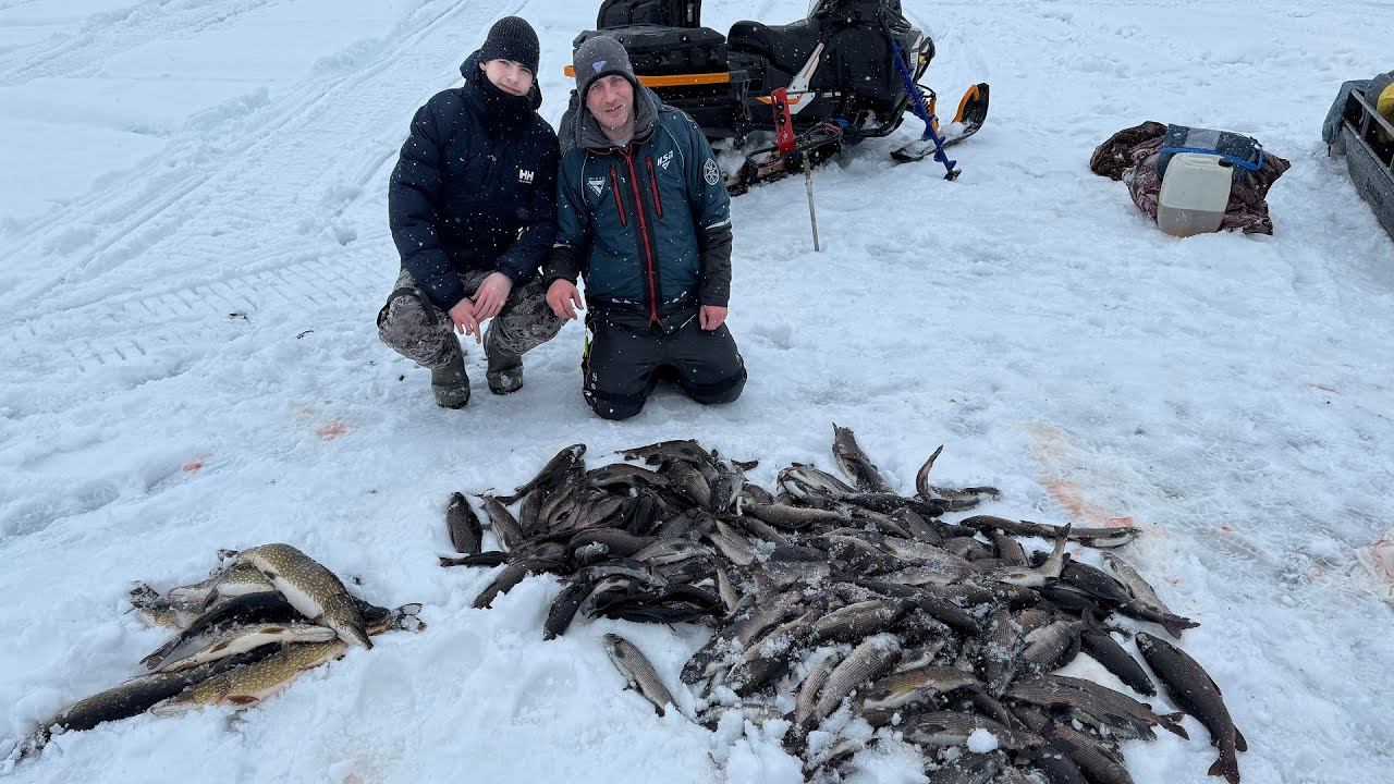 УДАЧНАЯ РЫБАЛКА НА ХАРИУСА | ЗАВЕРШЕНИЕ | ДЕНЬ 2 ЧАСТЬ 2 смотреть онлайн