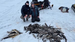 УДАЧНАЯ РЫБАЛКА НА ХАРИУСА | ЗАВЕРШЕНИЕ | ДЕНЬ 2 ЧАСТЬ 2