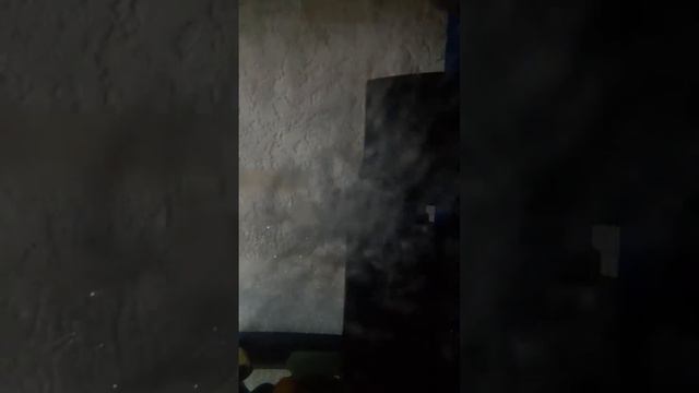 Золотое рыбки ночное сьемка смотреть онлайн