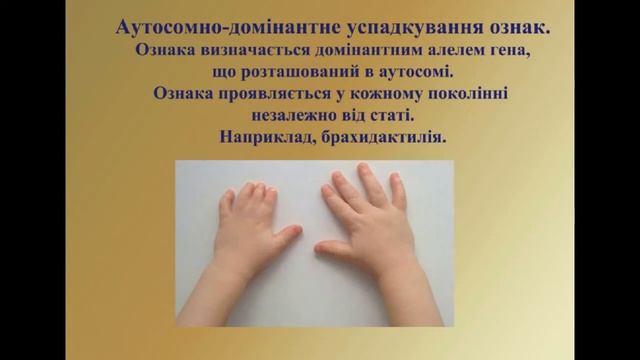 ОНВК "Гімназія №7". 10 клас. Біологія. Моногенне та полігенне успадкування ознак смотреть онлайн