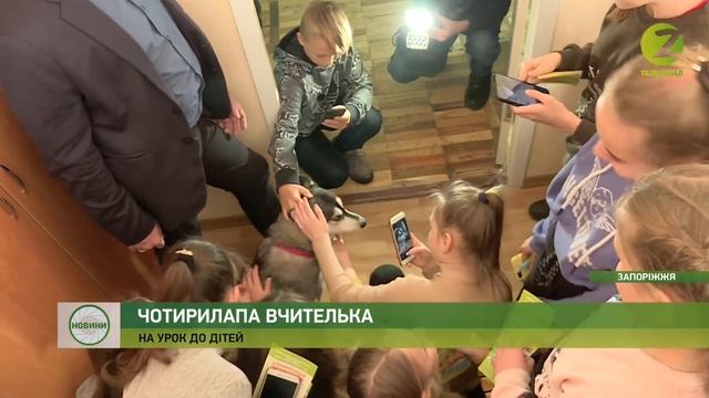 Новини Z - Урок доброти для учнів 110-ї школи провела хвостата вчителька - 24.01.2020 смотреть онлайн