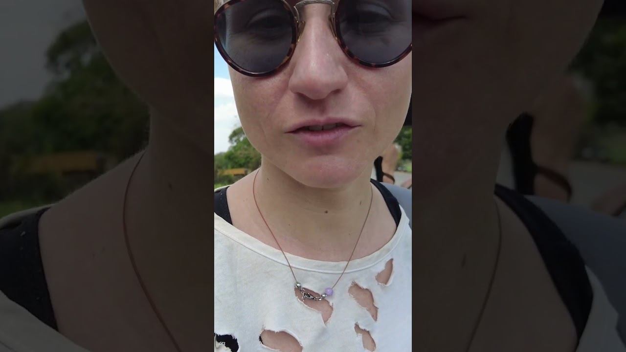 Встретили змею на дороге #летаемсворобьями #nature #travel