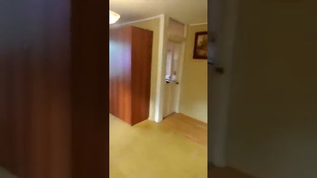 Однокомнатная квартира на Вагонке Чайковского 129 смотреть онлайн