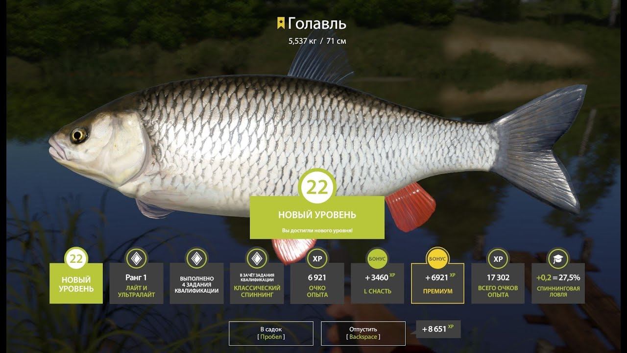 Русская рыбалка 4 - МЕСТО ГДЕ ПОЙМАЛ ТРОФЕЯ ГОЛАВЛЬ!!!!! смотреть онлайн