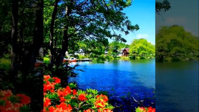 И не надо бояться любви #моистихи Ссылка на весь сборник ниже в описании👇