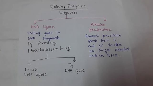 Tools of Recombinant DNA technology | For XII, B.Sc. and M.Sc. смотреть онлайн