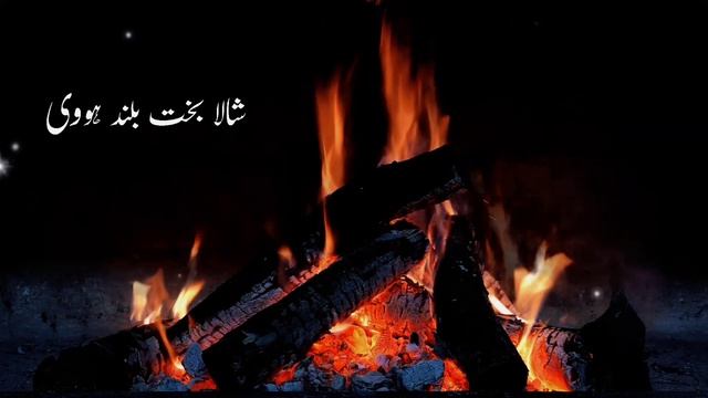 Shala bakht buland howi | Zishan Rokhri | Slowed Reverbed - Saraiki Song смотреть онлайн