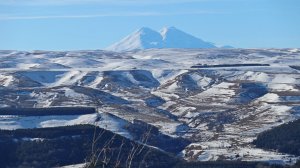 Прогулка в парке Кисловодска, Январь 2025