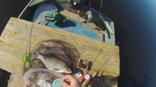 Кроме водки. Что надо взять поплавочнику на Селигер, чтобы поймать леща с 10 метров с лодки