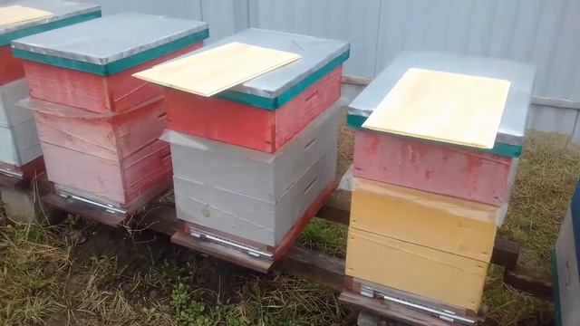 Седчатие доня, експеримент смотреть онлайн