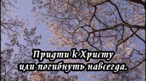 Ксения Лапицкая - Как можешь ты молчать