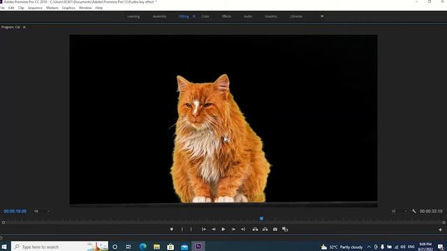 How To Remove Green Screen Video Background In Adobe Premiere Pro CC [Tutorial]@LearningMesh