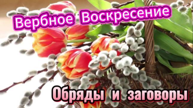 Вербное Воскресение! Обряды и заговоры на благополучие, здоровье и удачу! смотреть онлайн