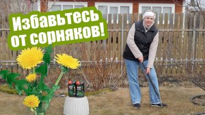 Уничтожаем сорняки на участке! Самые работающие методы борьбы с сорняками