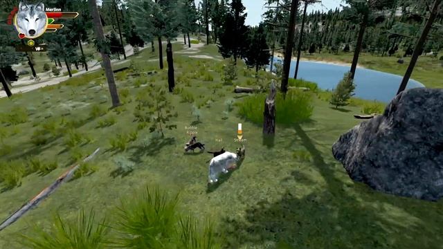 🐺[Wolfquest3] Ways Of Water🌊 : A Day Of Peace #25