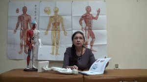 Метафоры чакр. Нейрокинезиология.