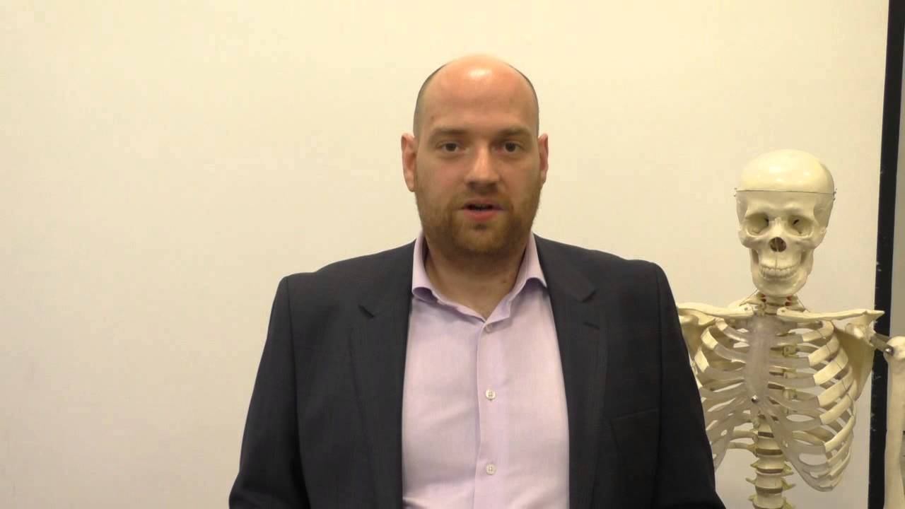 Артрология и остеопатия - суставы