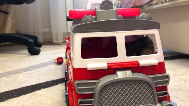 Маша играет с хомячком в пожарной машине Щенячий патруль.Paw patrol ultimate fire truck смотреть онлайн