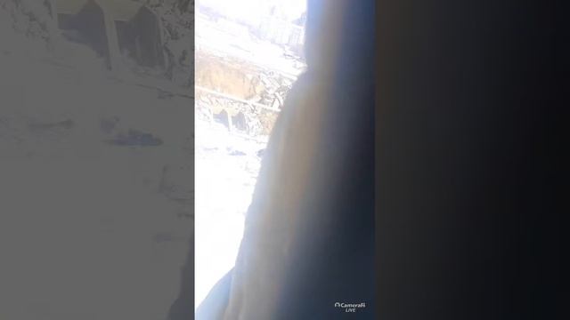 Идем в броско молл смотреть онлайн