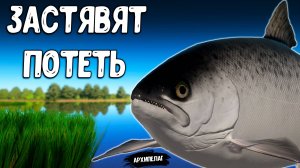 RF4 ОНИ МОГУТ ВАС ЗАСТАВИТЬ ПОТЕТЬ ЕСЛИ РЫБАЧИТЬ ТАК #рр4