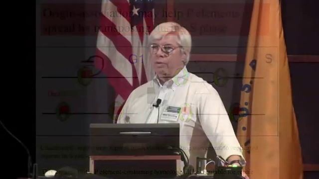 Transposon site-specificity and genome evolution - Allan Spradling смотреть онлайн