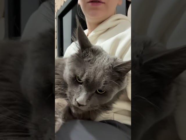 Отзыв о работе нефролога смотреть онлайн