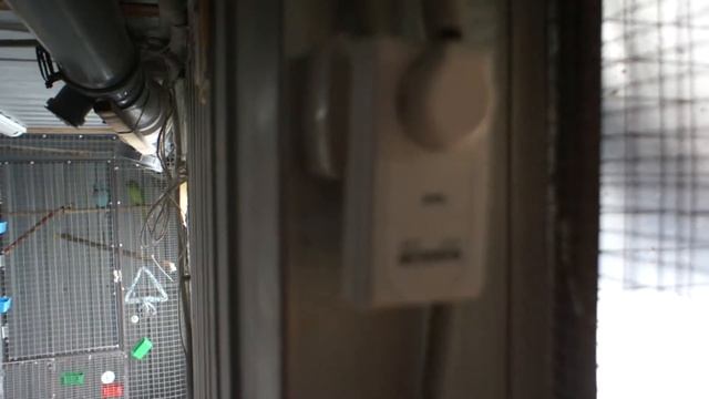 Ништяки 1 смотреть онлайн