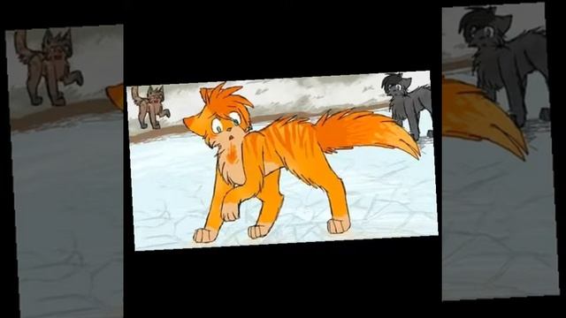 Коты - воители. Смотрите описание! смотреть онлайн