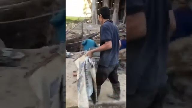 Pho nam Hải смотреть онлайн