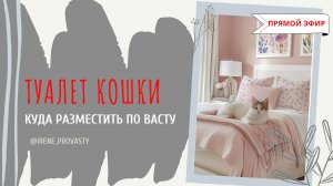 Где туалет кошки разместить в доме по Васту