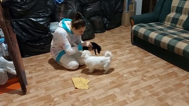 Приехали знакомиться / Первое знакомство смотреть онлайн