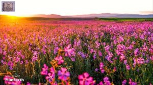 Говорит Господь # христианская песня