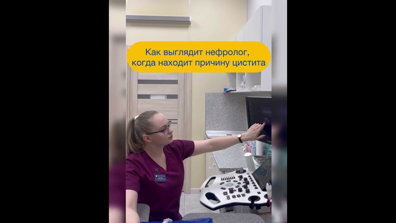 Нефролог и енот #ветклиникакосточка #ветеринар смотреть онлайн
