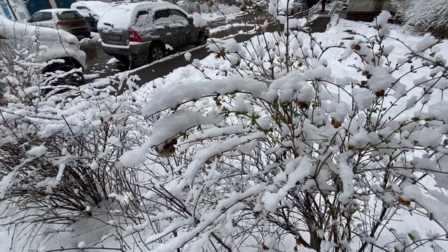 Борис-оператор. Снегом завалило дачу. Садитесь в машину покатаю по Москве. смотреть онлайн