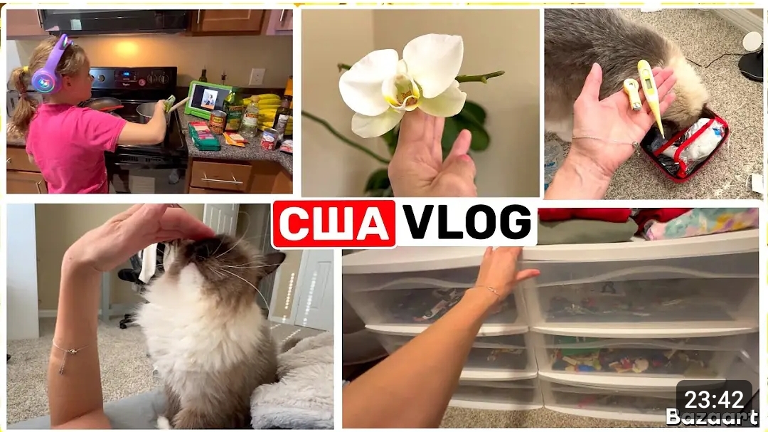 США ВЛОГ Совсем разболелась Будем продавать Семейный ВЛОГ смотреть онлайн