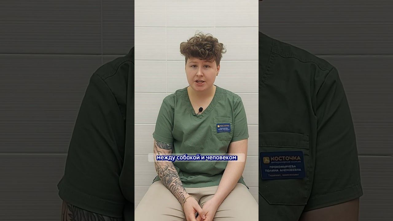 Пищевая агрессия собак смотреть онлайн