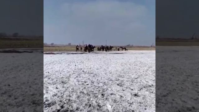 Петровка Айылы Шеринэ 17.02.22