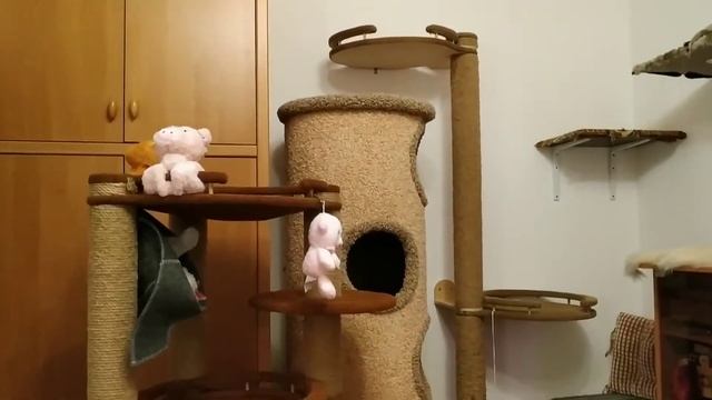 Мартовские кошки смотреть онлайн