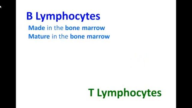 Immune respose Part 1 смотреть онлайн