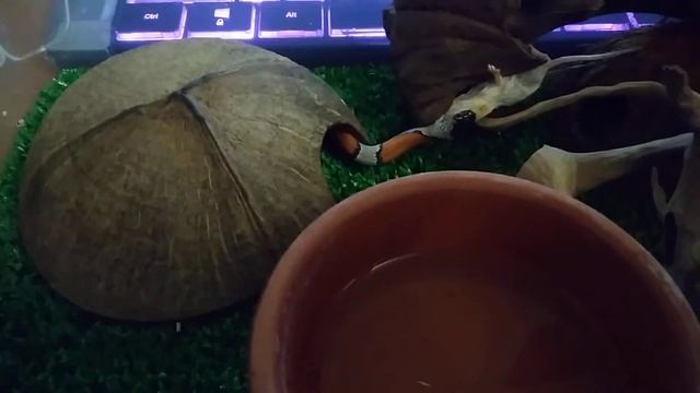 20210708 000450 смотреть онлайн
