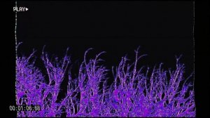 KSLV-Dystopia(slowed by Blackfire)